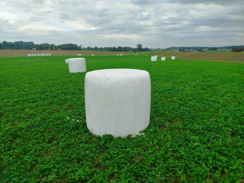 Sprzedam bele sianokiszonki z koniczyny  z lucerną