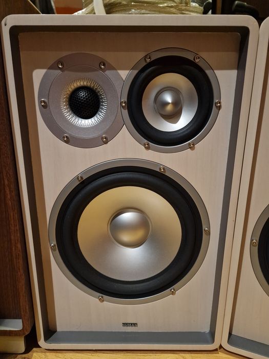 Numan 1978 Retrospective