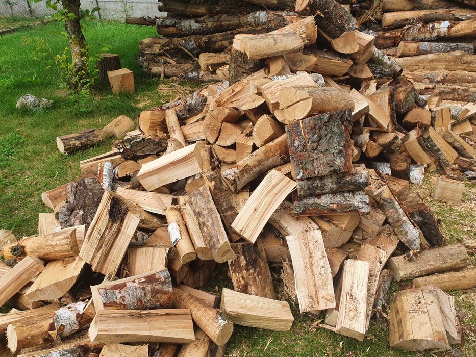 Drewno kominkowe Brzoza