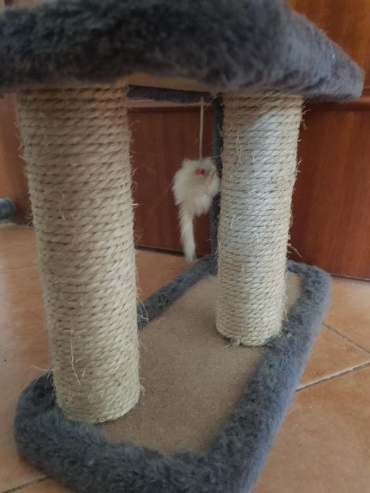 Mini arranhador - Gato pequeno