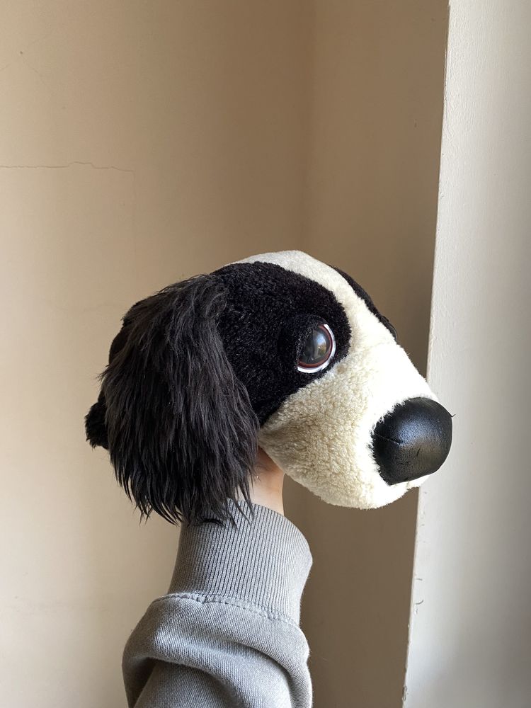 The dog, pies, maskotka, cocker spaniel