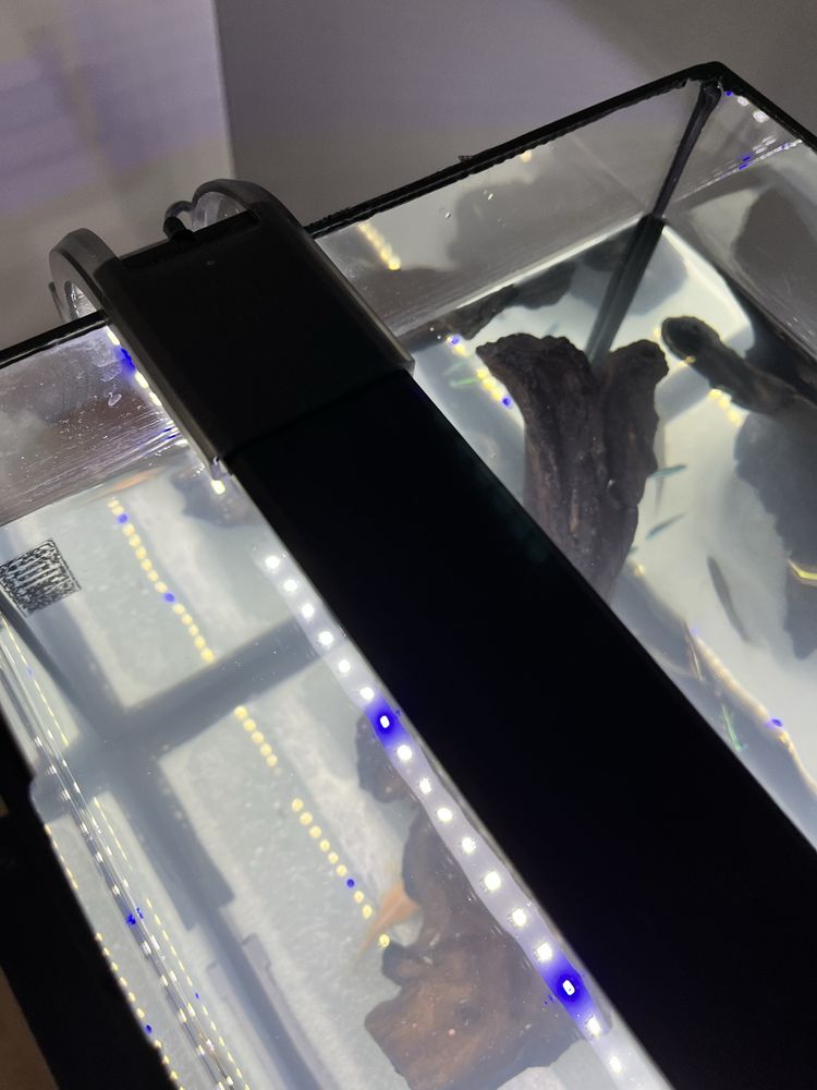 Aquario com acessorios