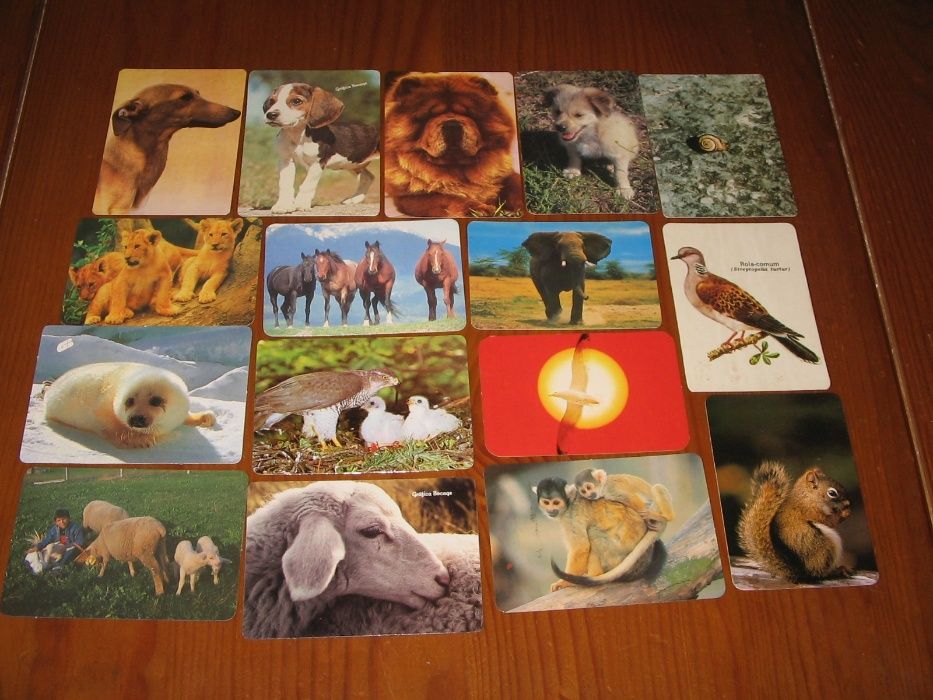 Calendários de bolso tema animais (84 todos diferentes)