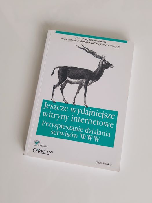 Jeszcze wydajniejsze witryny internetowe Souders