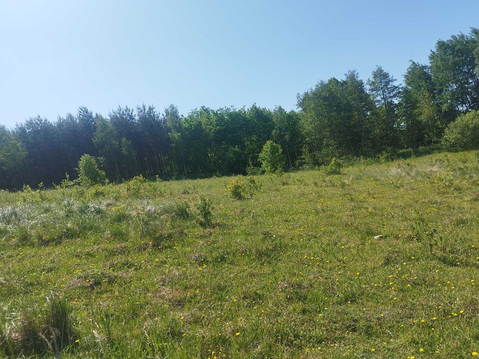 Działka budowlana Mazury przy Lesie