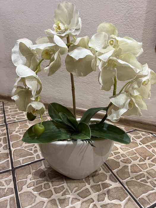 Storczyk sztuczny w doniczce ceramicznej