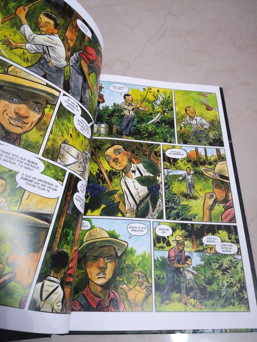 Livro Banda Desenhada Comic Harrow County - A encantadora de serpentes