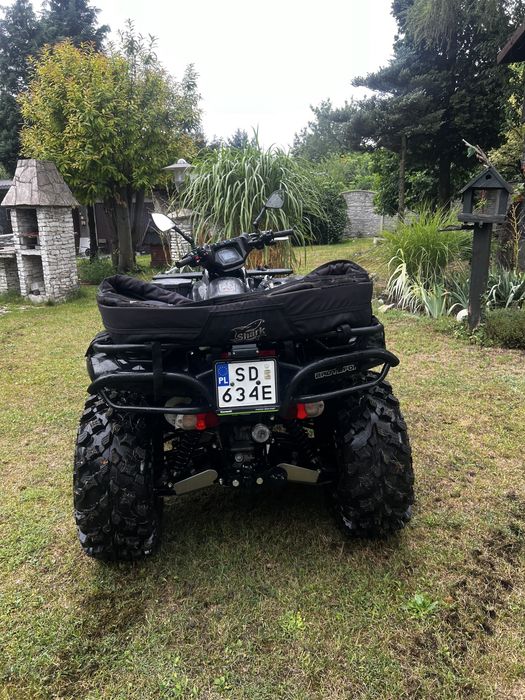 Kawasaki brute force