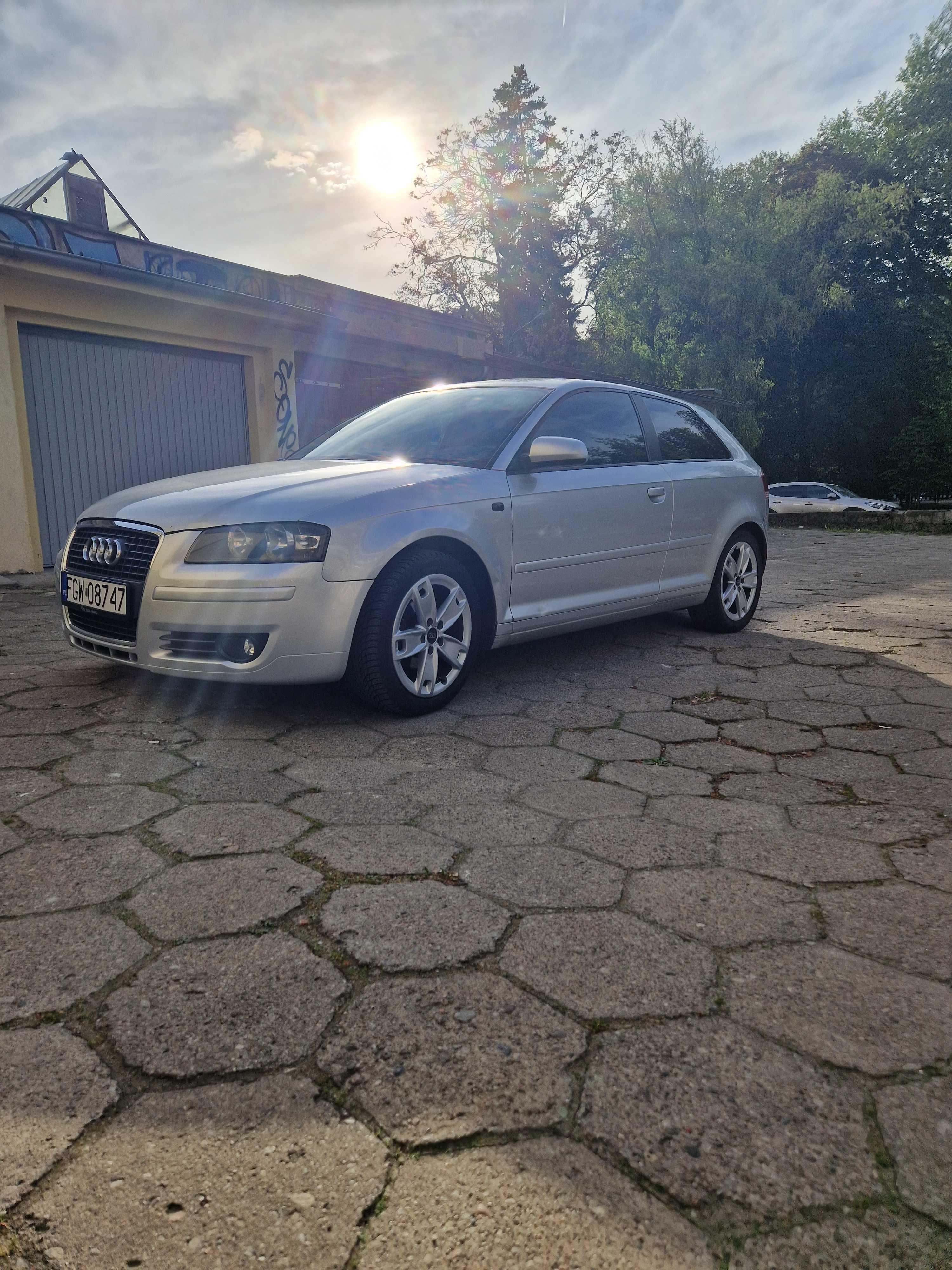 Audi A3 8P 1.9tdi 105