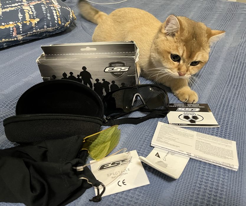 Тактичні окуляри ESS Crossbow 3L