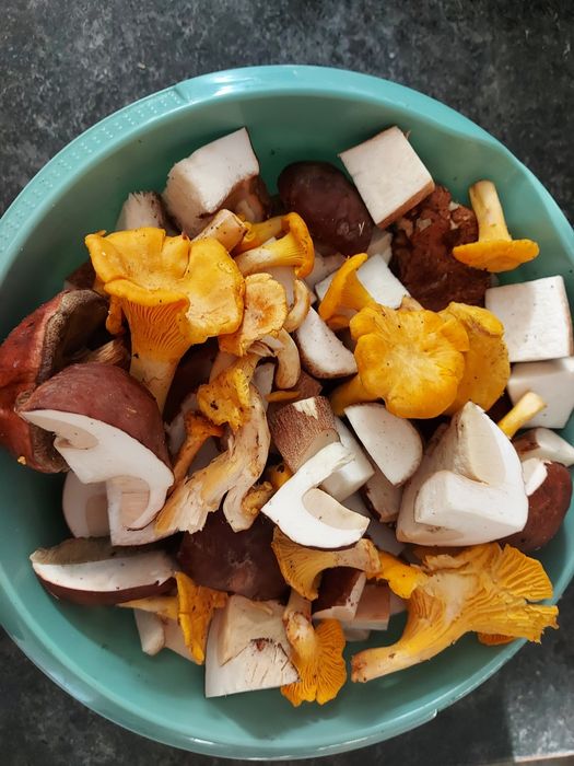 10x315 ml grzyby mieszane marynowane borowiki kurki podgrzybki