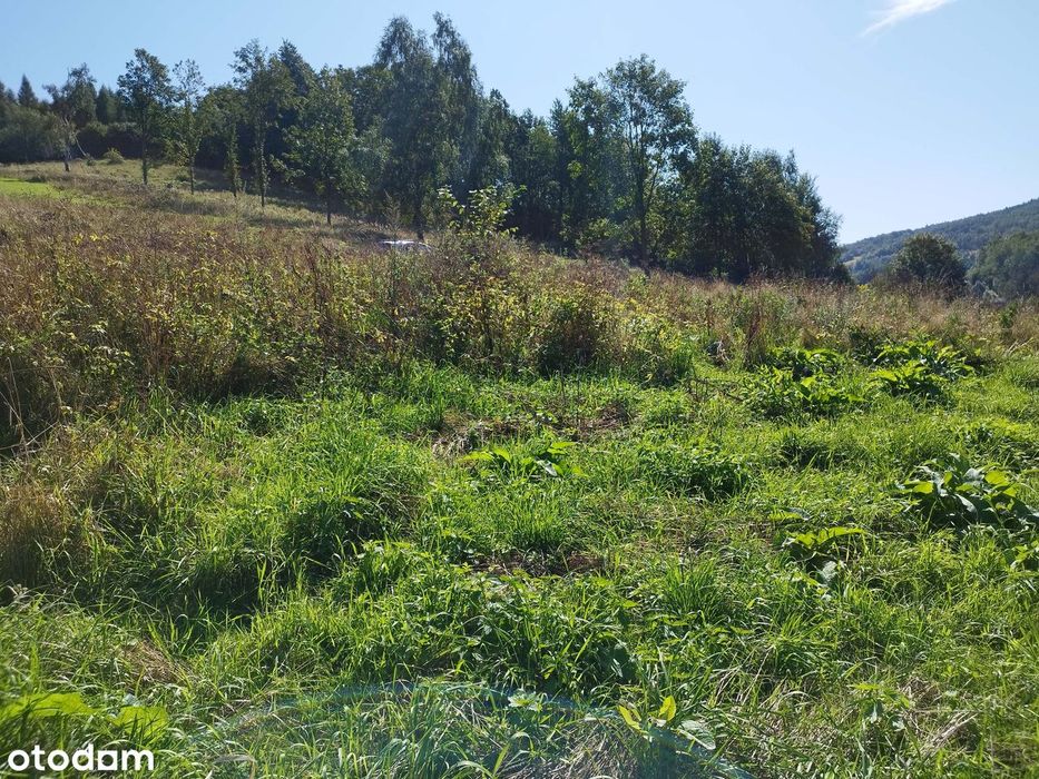 działka budowlana wydane warunki zabudowy