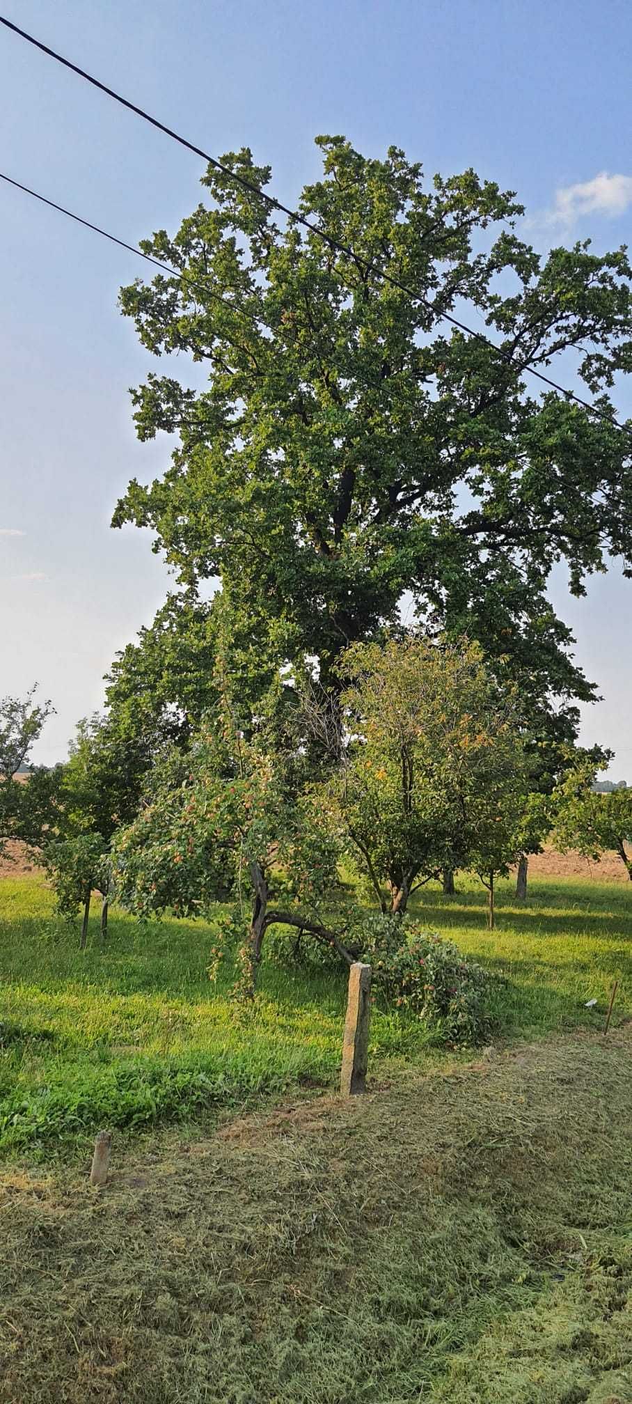 Działka budowlana w spokojnej okolicy !!