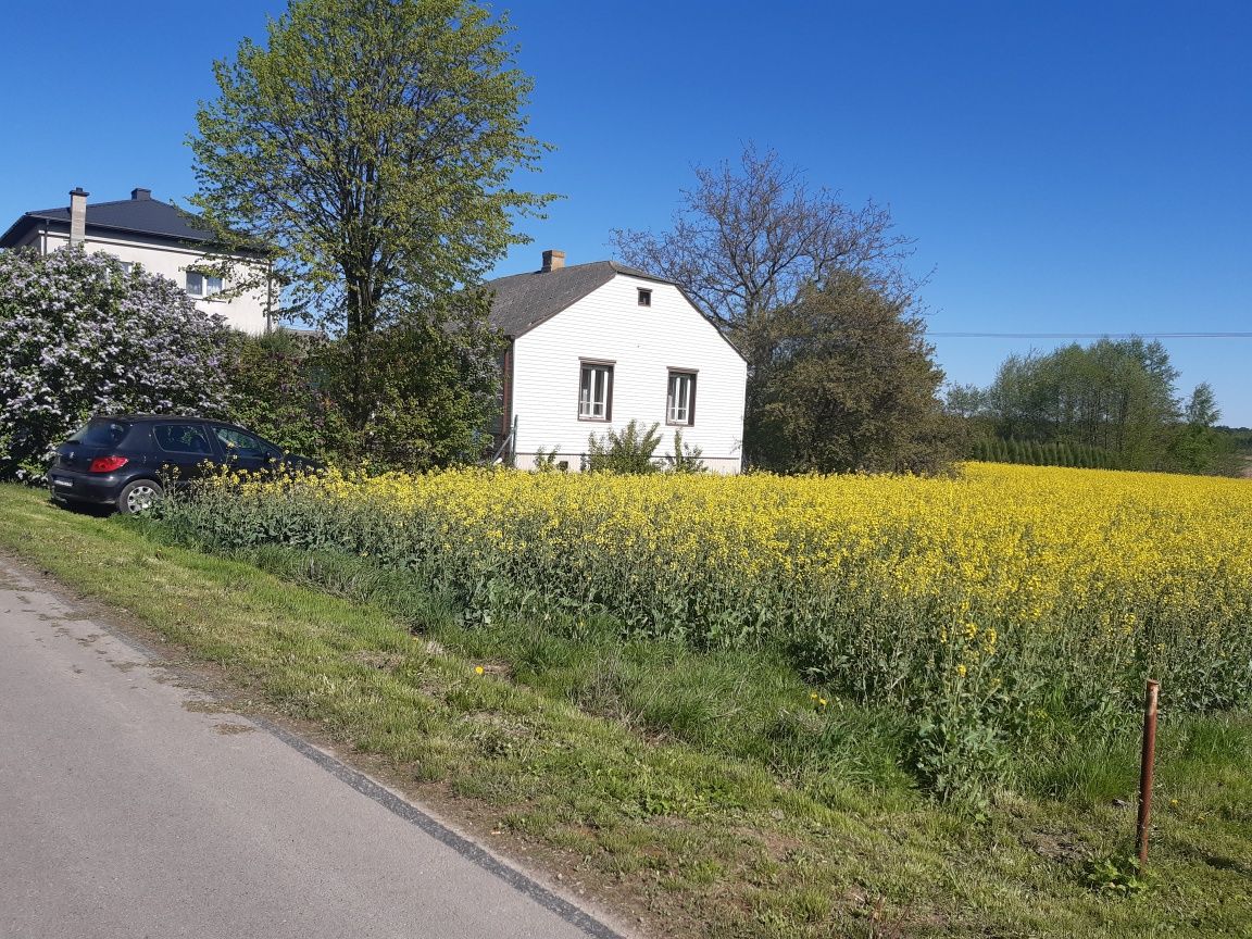Sprzedam siedlisko