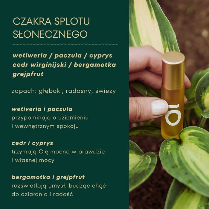 PERFUMY BOTANICZNE dla czakry splotu słonecznego: wetiweria_bergamotka