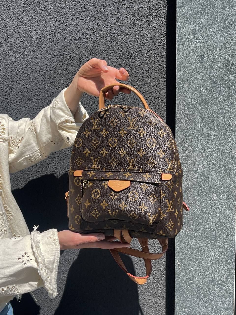 Рюкзак Louis Vuitton Palm Springs Backpack Brown