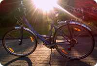rower miejski GIANT