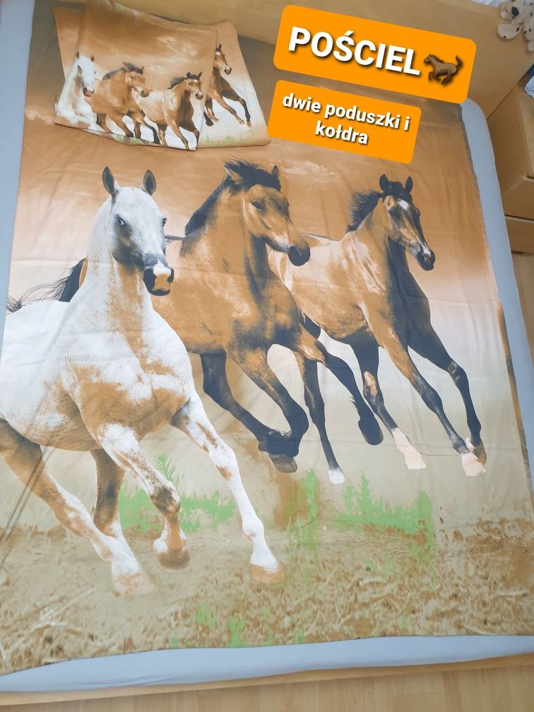 Pościel z końmi my little pony posłanie koń horse 200x150 cm jeździec