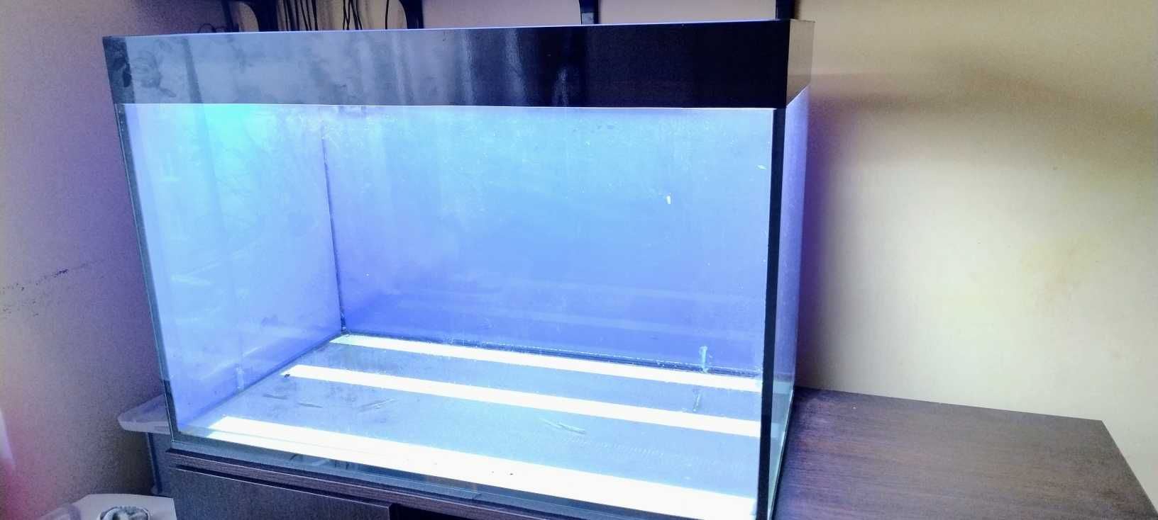 Sprzedam akwarium 300 litrów z oświetleniem.