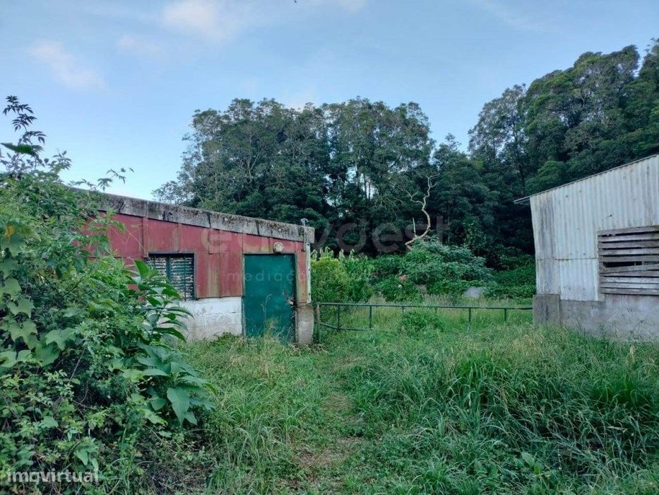 Invista no Campo - Terreno Ideal para Exploração Agrícola e Suína