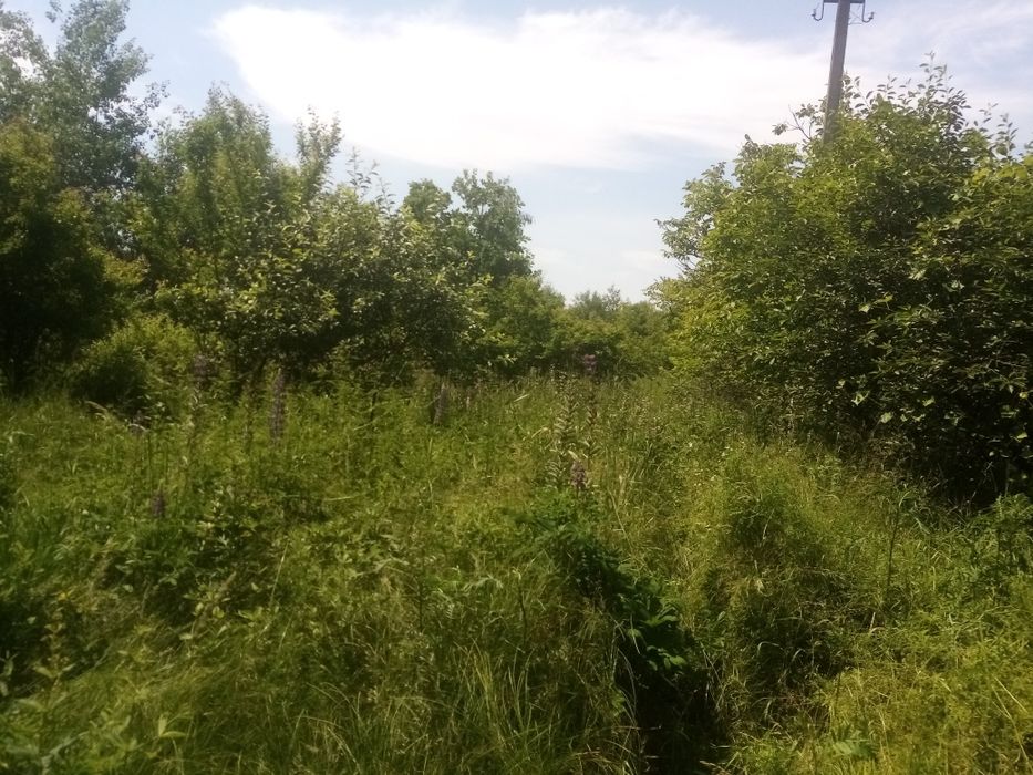 Продаж дачної ділянки в Чернієві