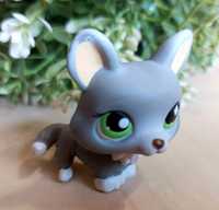 piesek CORGI #367 lisek Littlest Pet Shop unikat