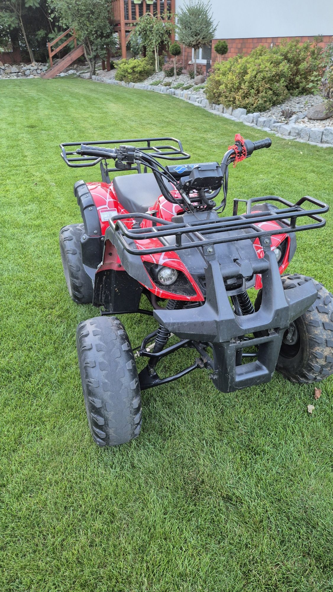 Quad 125 ccm 2017