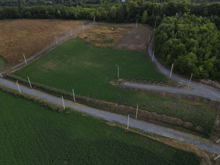 Продаж земельної ділянки в Ружичному