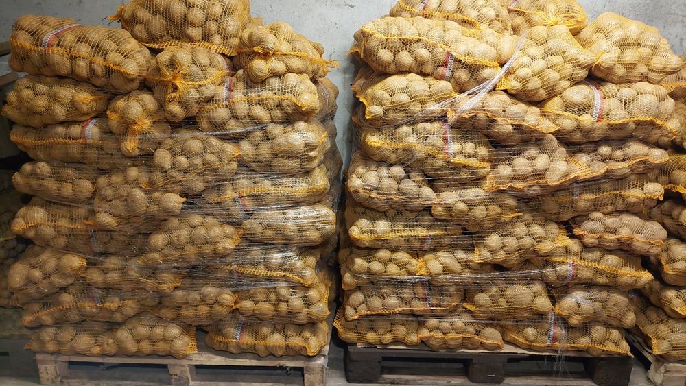 Ziemniaki żółte Vineta (wineta)