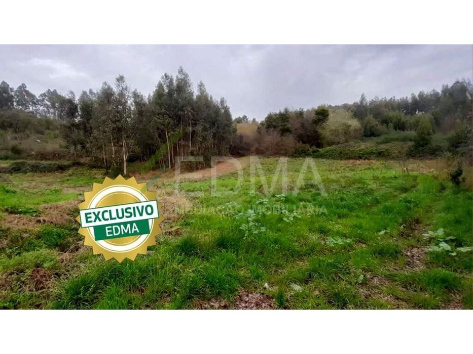 Terreno com ruína, Requião