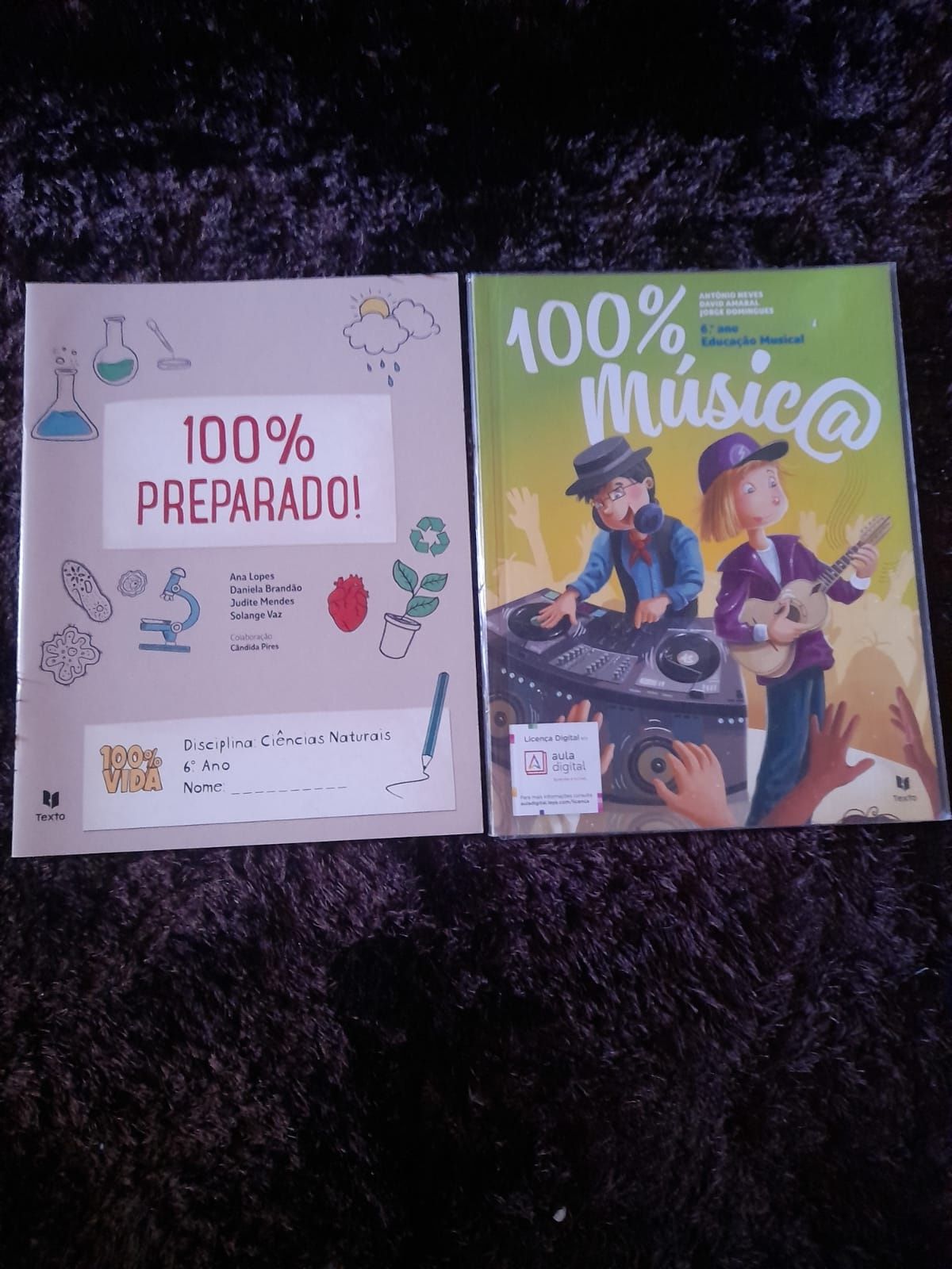 Livro de fichas do 6 ano