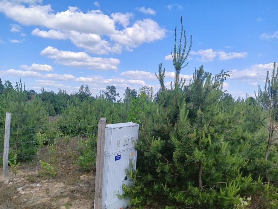 Działka budowlana w Kisiołkach