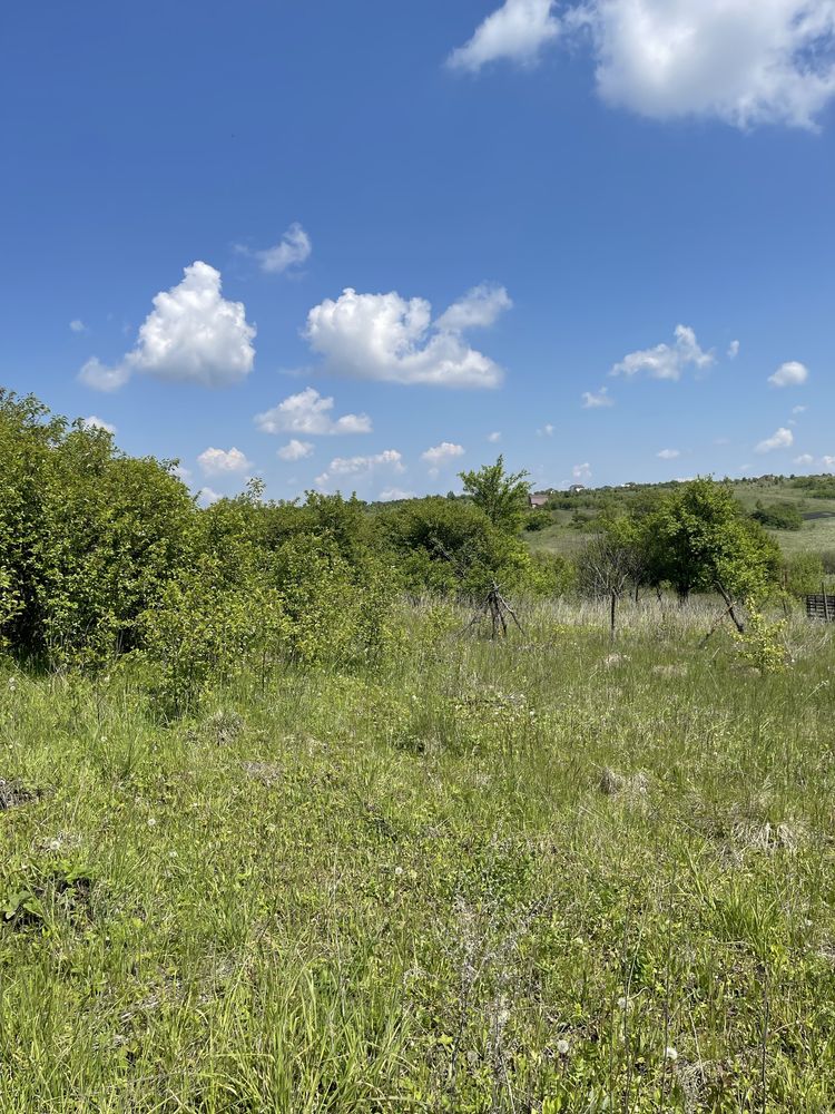Продам земельну ділянку