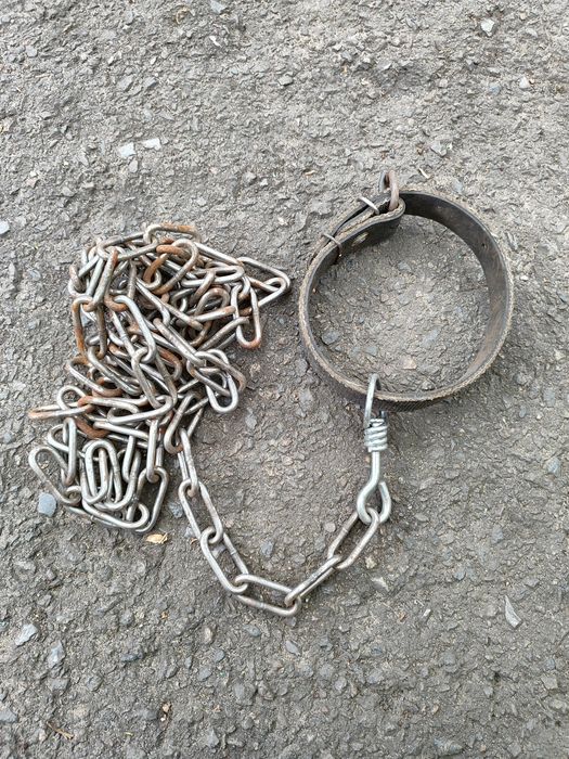 Цепь с ошейником