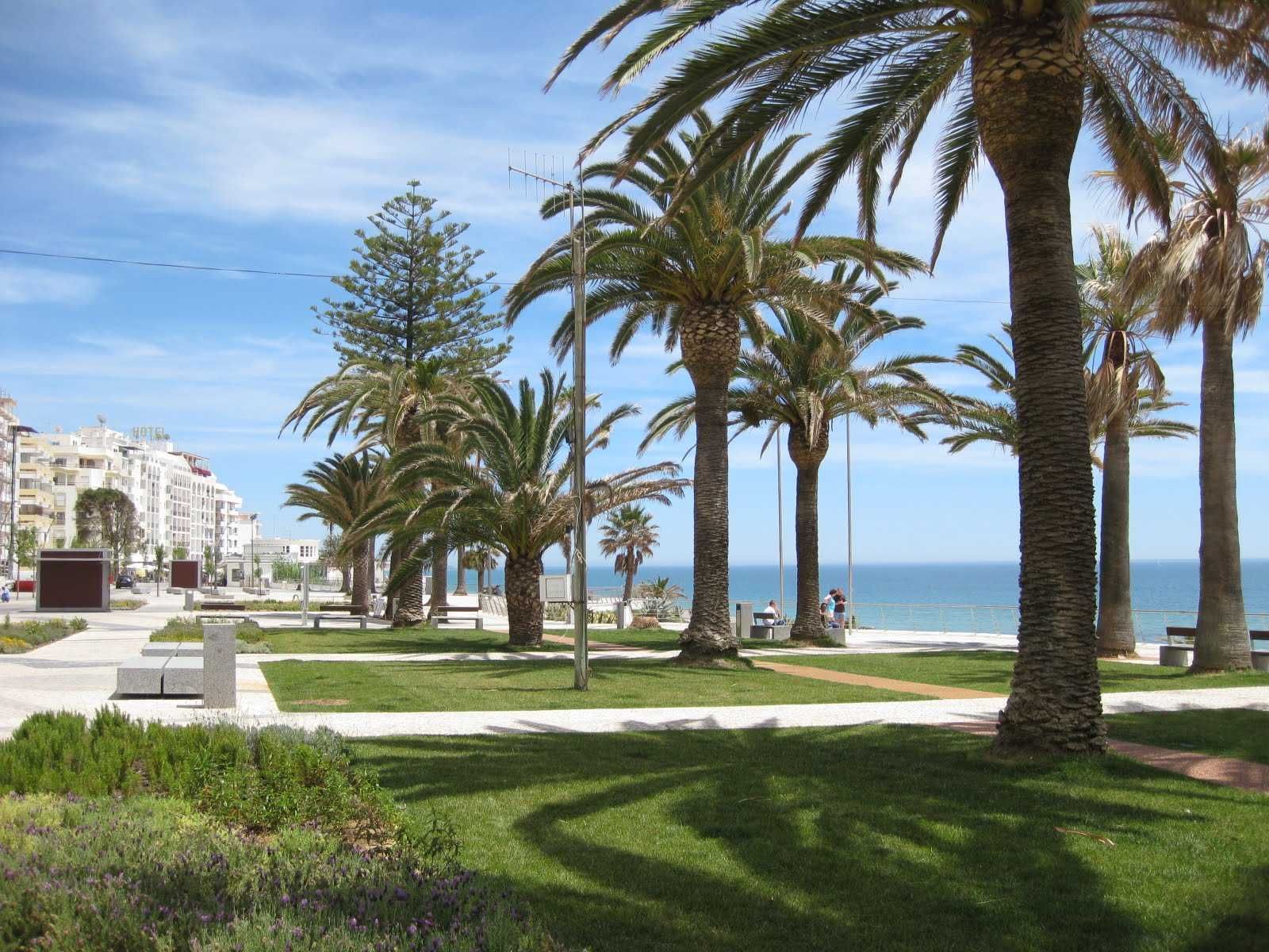 disp apartir 31 Agost aparta t1 cent 100mts praia Algarve/Armaçao pera