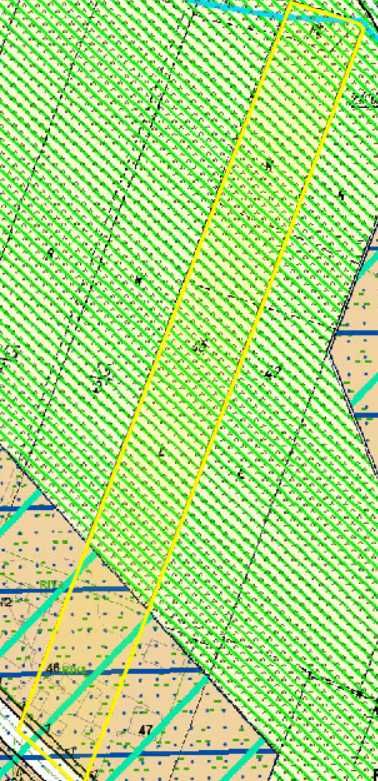 Na sprzedaż działka o powierzchni 1,1345 ha – Jangrot, gm. Trzyciąż