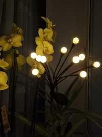 Газонний декор світильники лампи на сонячній енергії