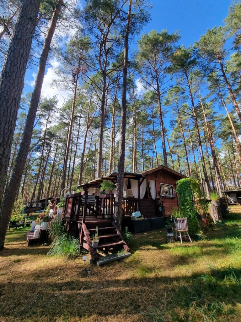 Domek letniskowy nad jeziorem Gołuń obok Wdzydz.