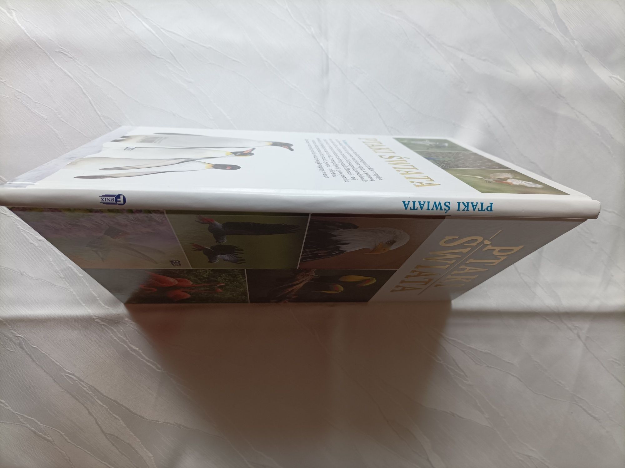 Atlas Ptaki Świata
