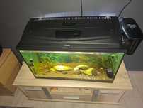 Akwarium 120l + szafka