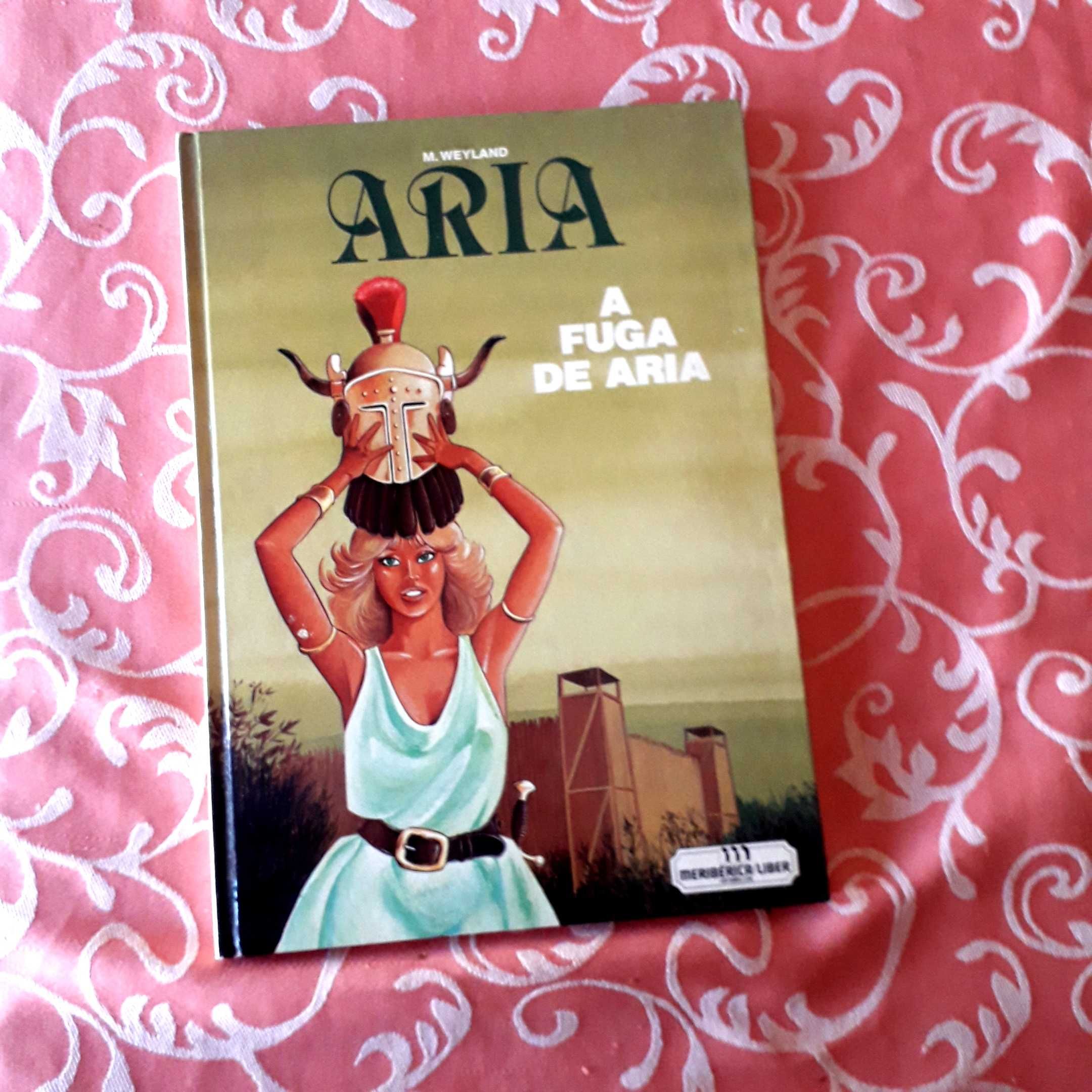 Livros BD - Thorgal & Aria