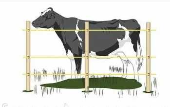 Электропастух для коров, овец, коз лошадей, есть разные наборы