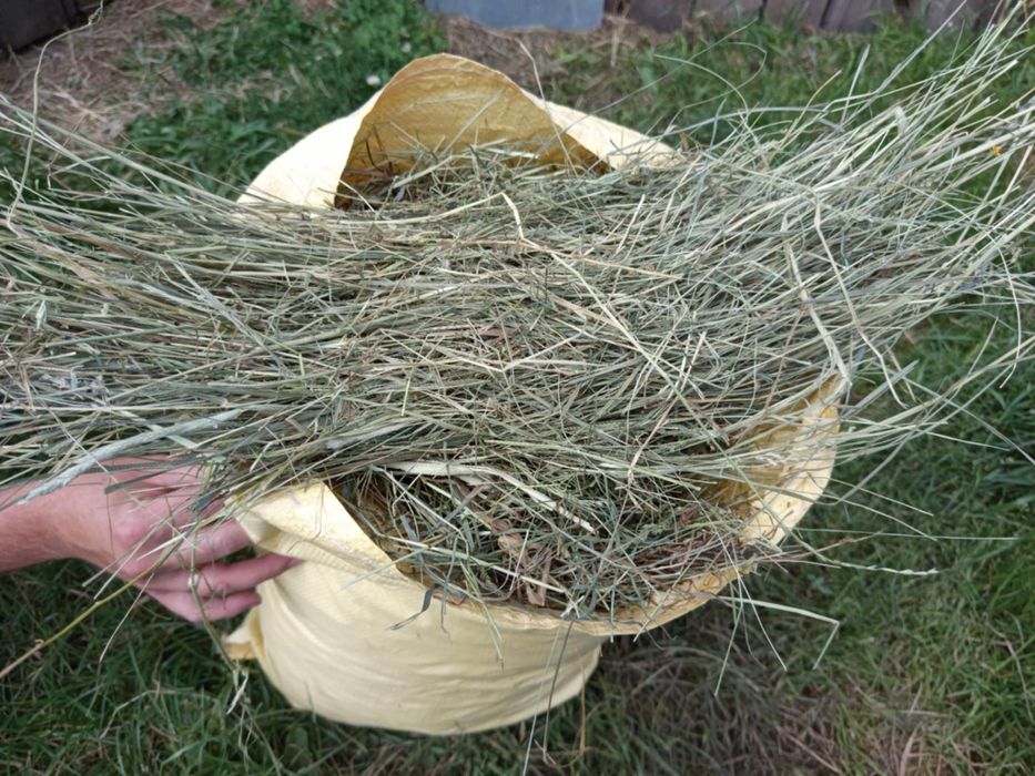 Sianko naturalne 3kg z łąki