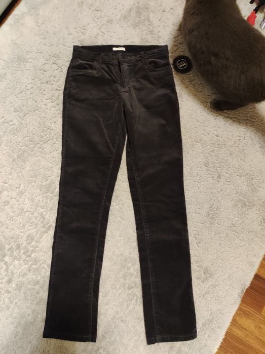 Nowe spodnie szare cool club