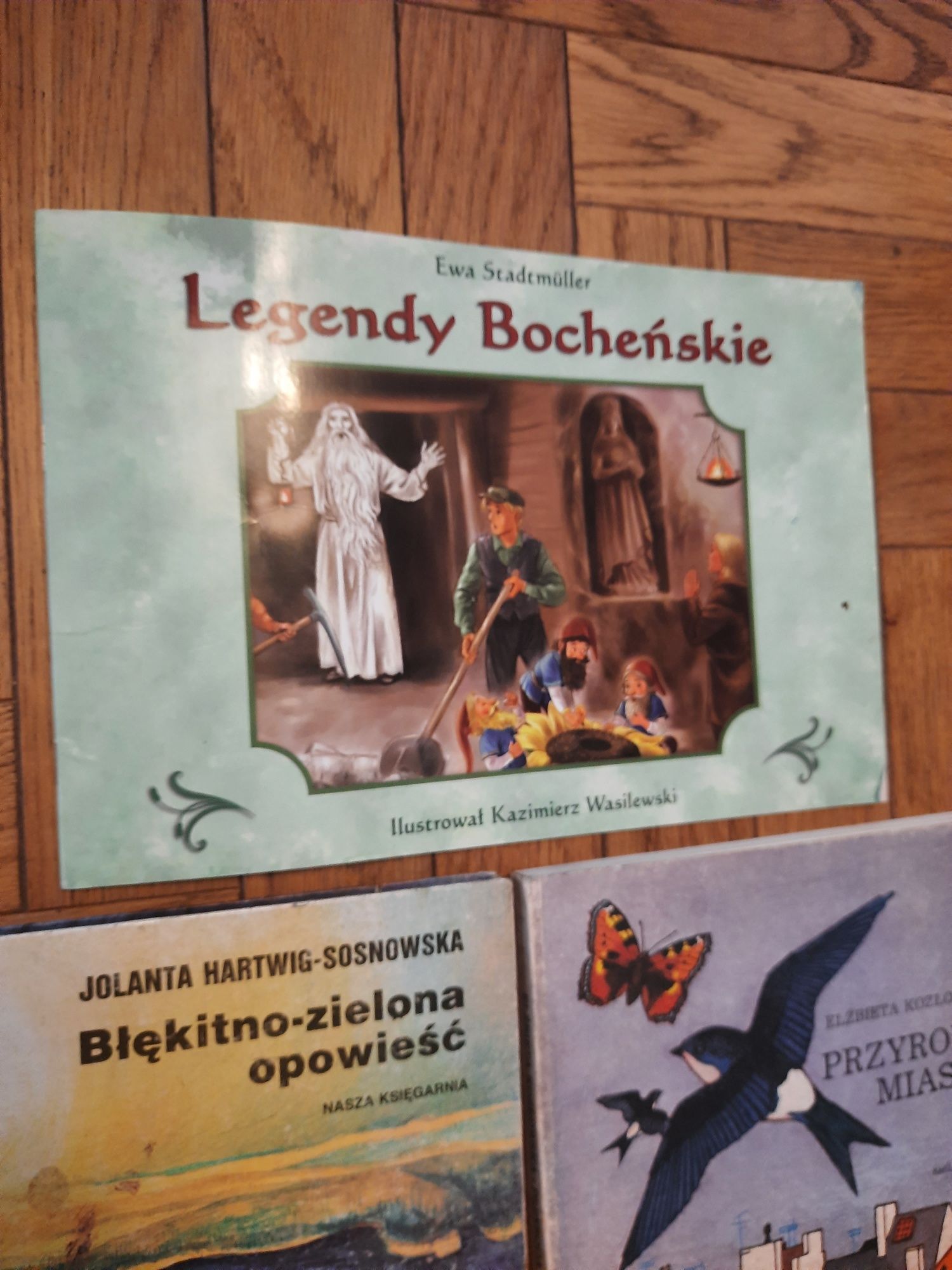 Błękitno zielona opowieść, Legendy Bocheńskie, Przyroda miasta