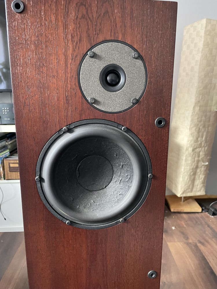 Kolumny Proac 2.5