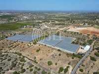 Terreno com 3,1 ha, em Cabeços, Lagoa, Algarve