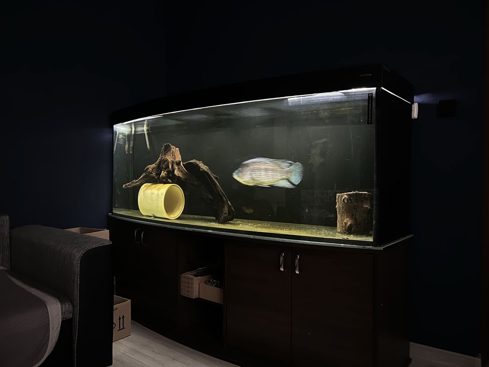Akwarium 780L caly zestaw