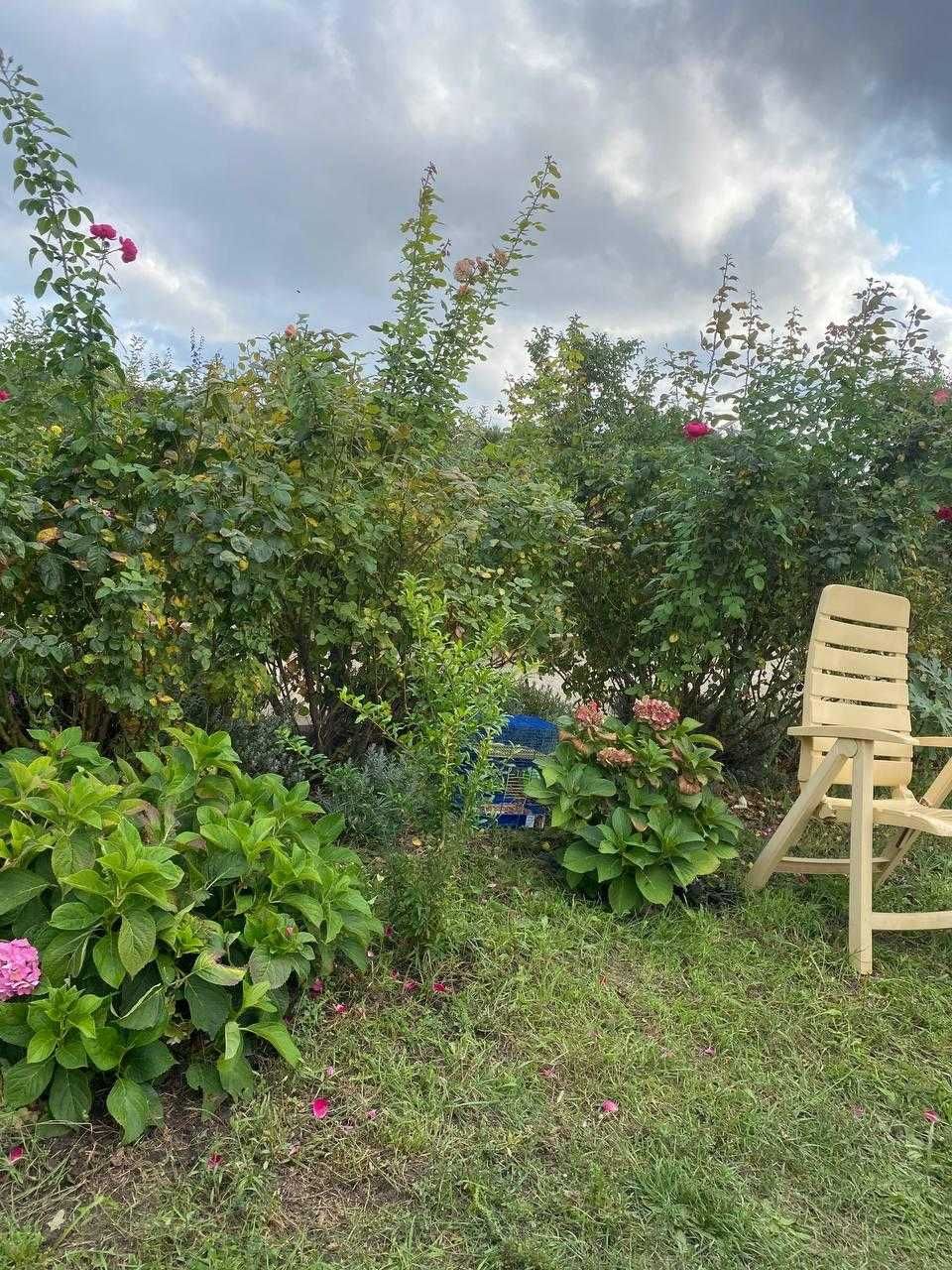 (13)  Продам затишний будинок в с.Велика Балка (Нерубайське).