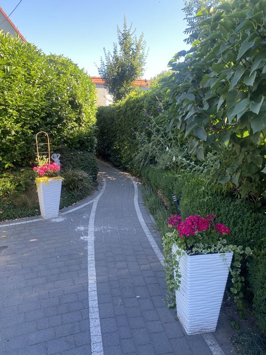Dom na wsi, duzy, przestronny